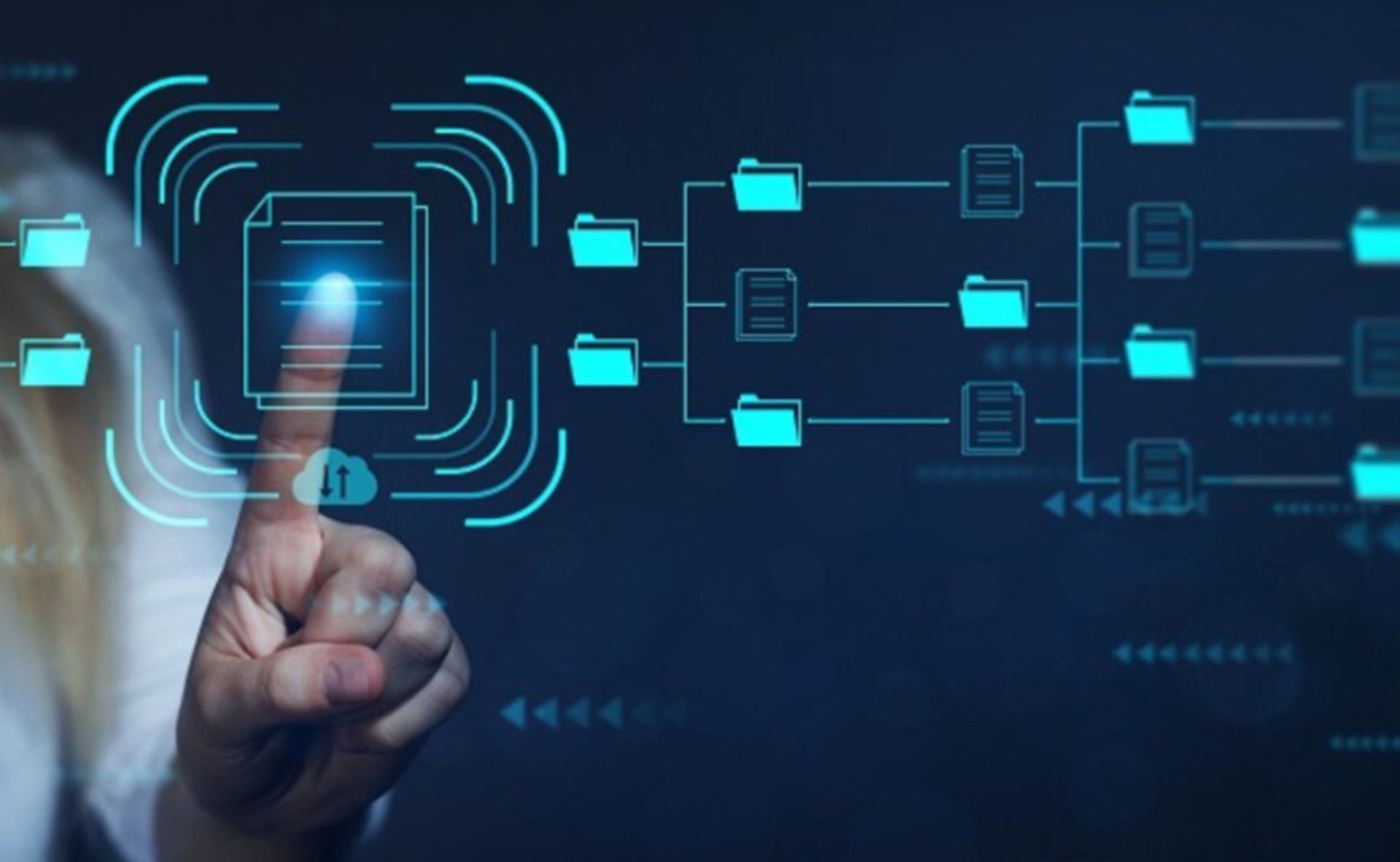 Why Use Uhoebeans Software in Business Guide